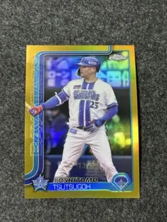 Item thumbnail for item 49900b33-7087-4bd8-a9ec-b8f7f260a1f0