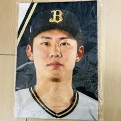 2026年最新】曽谷龍平 タオルの人気アイテム - メルカリ