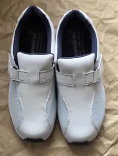 Item thumbnail for item 31f7219d-f5af-4fb7-806b-5abf02af3102