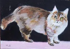 アンドリューコゥリー版画 猫限定版 シルエット画 - メルカリ