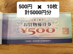 ヤマダ電機株主優待 お買い物優待券 5000円分