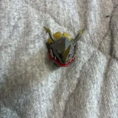 ネロンガ　一番くじ　c賞