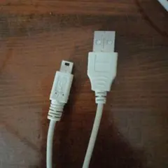 Canon USB b to USBケーブル 約1.25m デジカメ　付属品