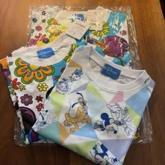 Item thumbnail for item 5d24afde-bbe5-4eb0-8a9d-0523486a057f