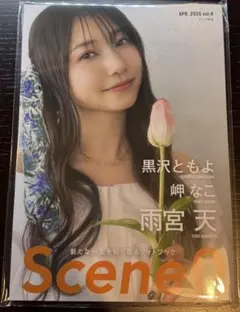 Scene0 雨宮天 黒沢ともよ 岬なこ フォトブック&フォトカードセット Scene0 vol.4 雑誌＋岬なこポストカード9枚セット - メルカリ