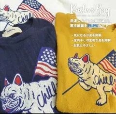 ⭐【オンライン完売品】カイルアベイ◆パイル地Tシャツ新品タグ付❗フレンチブル