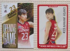 SVリーグ デンソーエアリービーズ 麻野七奈未