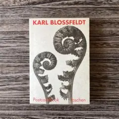 2026年最新】karl blossfeldtの人気アイテム - メルカリ
