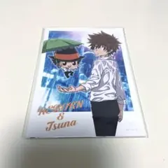 家庭教師ヒットマン　REBORN! 雨濡れVer　ブロマイド