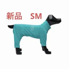 Item thumbnail for item 334af149-e146-41a9-95d4-d0db48010cc4