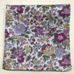 Item thumbnail for item 6697a602-cf43-40d8-9a0d-ffc570abae8c