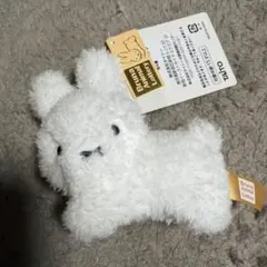 Bruna Animal lottery