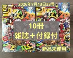 新品未使用】週刊少年ジャンプ 33号 特別限定付録ワンピース 10冊