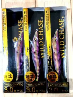 Item thumbnail for item d8865bc4-ff9f-4ff5-a0da-eaea3619bf4c