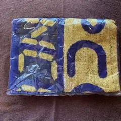 Item thumbnail for item e2aef832-ef4b-4e00-81cc-2ece21688c9a