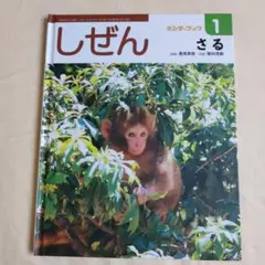 2025年最新】しぜん キンダーブックの人気アイテム - メルカリ
