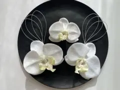 胡蝶蘭×水引5点セットl結婚式 前撮り 和装 白無垢 卒業式 袴 色打掛