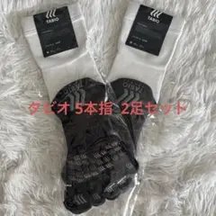【TABIO】5本指 Mサイズ 2足セット