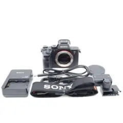 2025年最新】α7R III ILCE-7RM3の人気アイテム - メルカリ