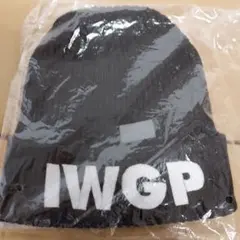 半額‼️IWGP／ニット帽【未開封品・大人用】