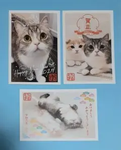 もちまる日記×郵便局「年賀状2024年(2023年発売)３種類」