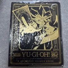 遊戯王 公式プロテクター 上位賞 100枚入 未開封 1つ YCSJ スリーブ