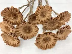 Item thumbnail for item a390feb4-9855-4ad5-aae6-f4175217f582