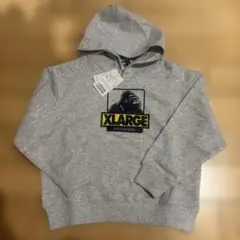 Item thumbnail for item af765448-84ad-4c2b-a42d-c1852518ef59