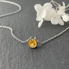 はたさん様専用ページ＊馬蹄ネックレス 選べるストーンカラー＊ステンレスネックレス