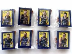 宇都宮ブレックス　ミニチュアアートイーゼル セット