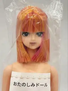 2026年最新】おたのしみドール サヤカの人気アイテム - メルカリ