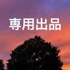 【専用出品】