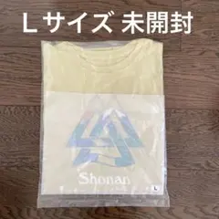 2025湘南国際マラソンＴシャツ　LサイズTHE NORTH FACE イエロー