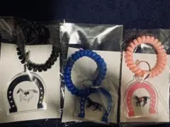 JRA welcomeチャンス！D賞 枠色アクリルキーリング 3点セット