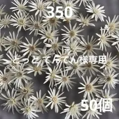 どっと てんてん様 リクエスト 2点 まとめ商品