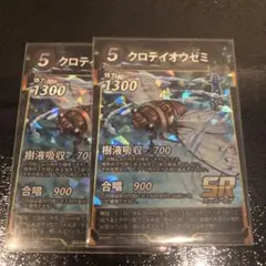 クロテイオウゼミ 2枚セット