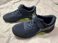 Item thumbnail for item 030cedb6-8eb9-4e49-890a-ff4b786a4d69