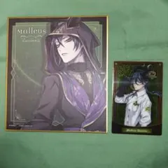 ツイステ マレウス・ドラコニア 2点セット