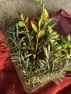 りぃり様 リクエスト 2点 まとめ商品