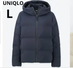 Item thumbnail for item a10a1b37-cd93-4758-ad13-7b84a87b3df5