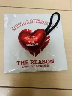 神谷健太 EXILE ヘアゴム