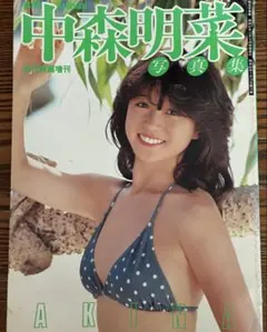 中森明菜 写真集 未開封 新品 中森明菜写真集 AKINA - メルカリ