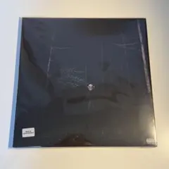 スペース☆ダンディ Space☆Dandy 川辺ヒロシ 向井秀徳 レコード LP