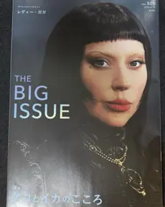 新品　未開封　レディーガガ　写真集　ツアーパンフレット　クリアファイル　ガガ 新品 未開封 レディーガガ 写真集 ツアーパンフレット クリア