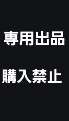 渉(sho)様専用出品 国産榊(姫榊)2束　24㎝