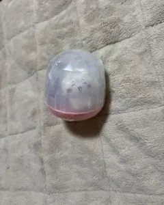 Item thumbnail for item 2d619275-c400-46ab-873c-28a19940f4ce