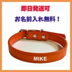 Item thumbnail for item f8b9823e-f95a-4df2-bd2e-d1272fd99da4