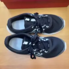 Item thumbnail for item 0b2b0557-d5ed-41c3-b543-bc5165b3a45b