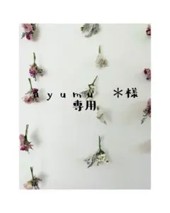 ayumu ＊さま専用ページ