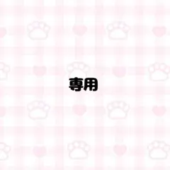 専用